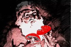 圣诞老人是萨满文化的当代代表利用致幻